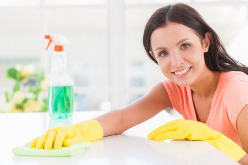Steam carpet cleaning equipment in a Wallington home