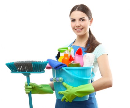Professional handling of a carpet cleaning complaint with care