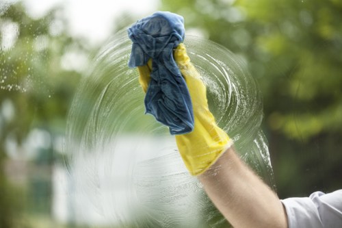 Cleaning common pet stains and odours in Wallington homes