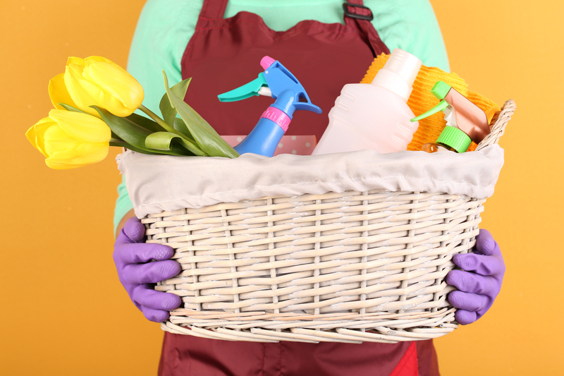 home cleaning Carpet cleaners